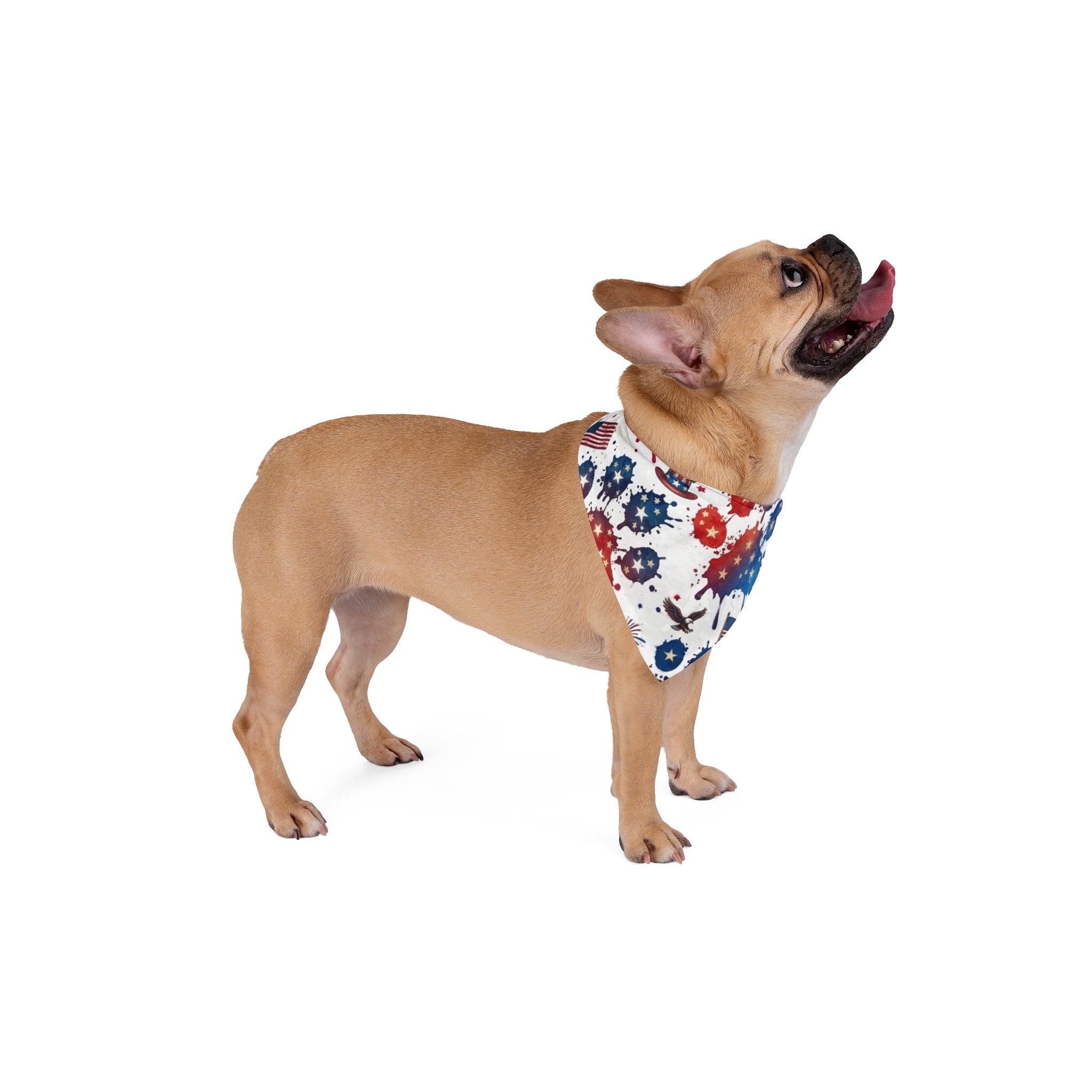 Pet Bandana 4th of July Paw Prints