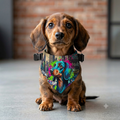 Pañuelo para mascotas con clip - Diseño colorido de perro salchicha con grafiti